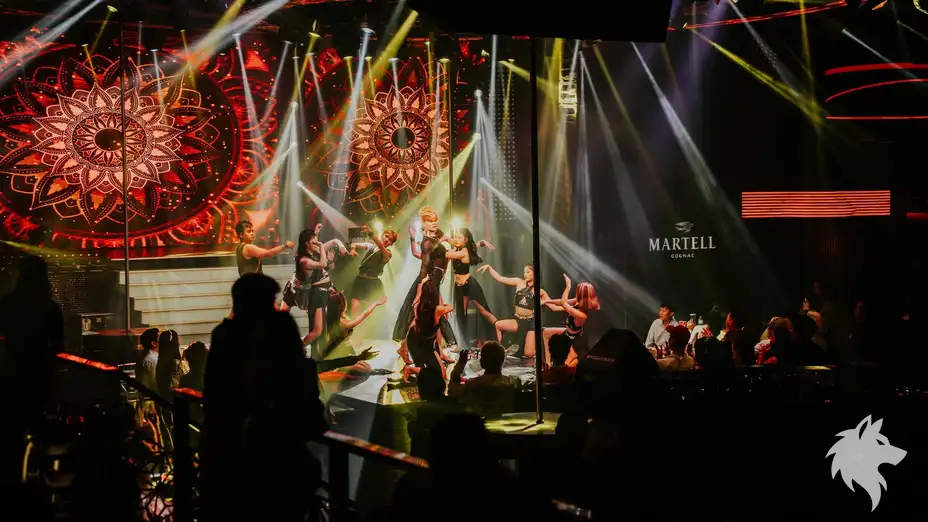 클럽 무대 댄스 퍼포먼스